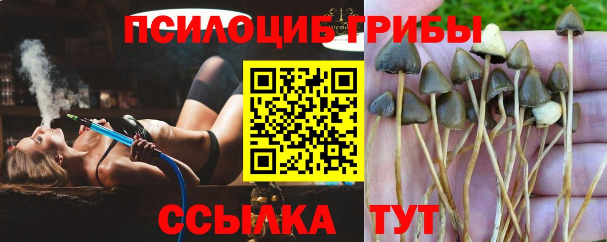даркнет сайт  Вход с VPN  Черняховск  Галлюциногенные грибы ЛСД  Галлюциногенные грибы ЛСД 
